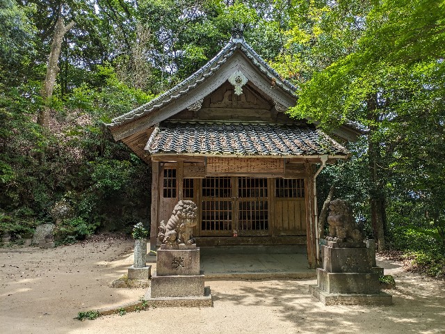 f:id:datsuryokuman:20240511225700j:image