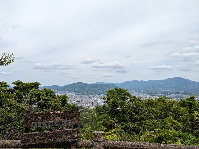 f:id:datsuryokuman:20240511225757j:image
