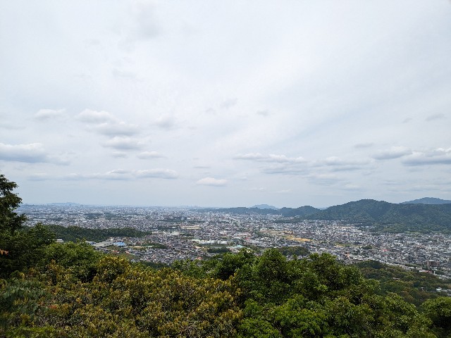 f:id:datsuryokuman:20240511225805j:image