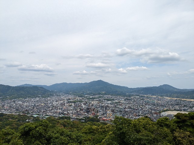 f:id:datsuryokuman:20240511225811j:image