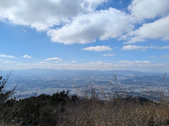f:id:datsuryokuman:20250224201630j:image