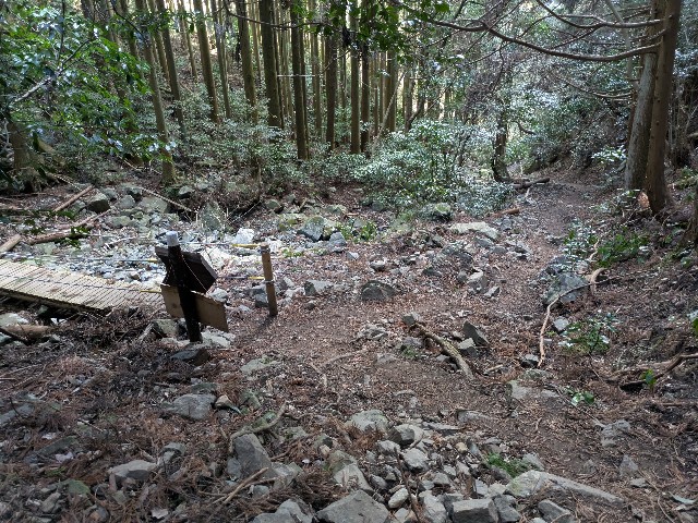 f:id:datsuryokuman:20250224201926j:image
