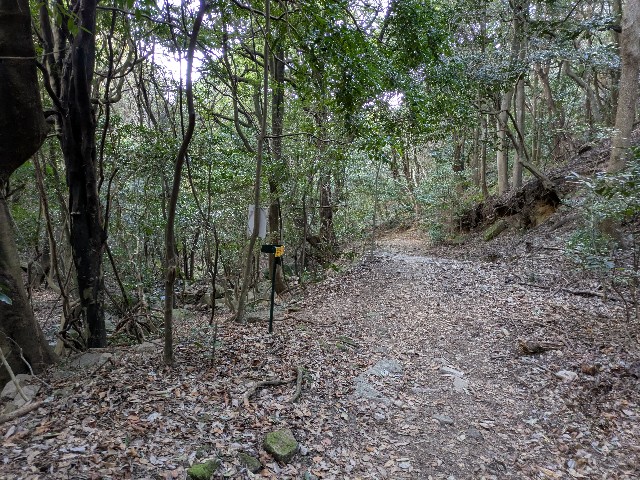 f:id:datsuryokuman:20250224201954j:image