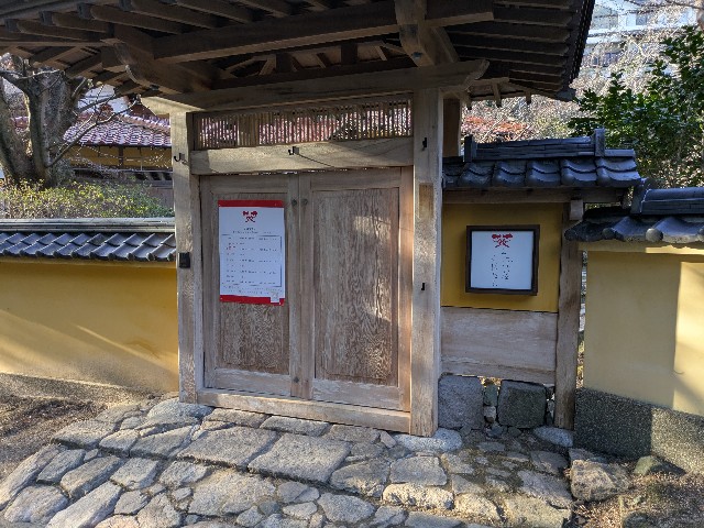 f:id:datsuryokuman:20250224202022j:image