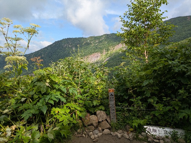 f:id:datsuryokuman:20250824213227j:image