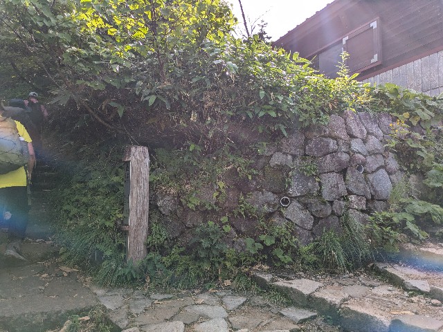 f:id:datsuryokuman:20250824213357j:image