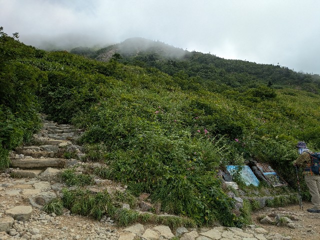 f:id:datsuryokuman:20250824213516j:image