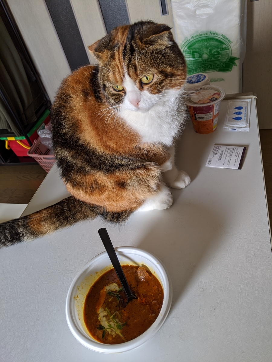 f:id:datsutokio:20191224001335j:plain