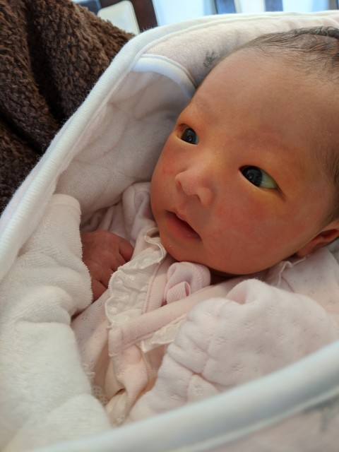 f:id:datsutokio:20200201100405j:image