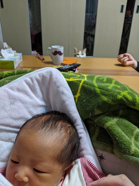 f:id:datsutokio:20200209115545j:image