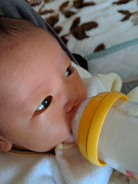f:id:datsutokio:20200213232329j:image