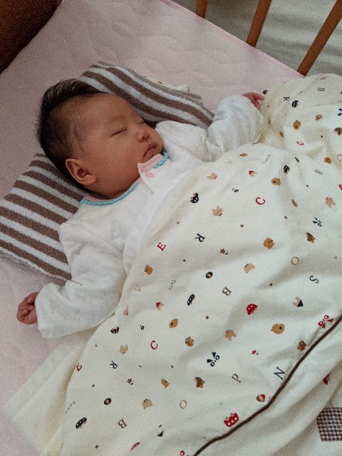 f:id:datsutokio:20200401234504j:plain f:id:datsutokio:20200401234504j:plain