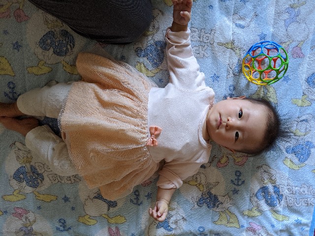 f:id:datsutokio:20200524222454j:image f:id:datsutokio:20200524222454j:image