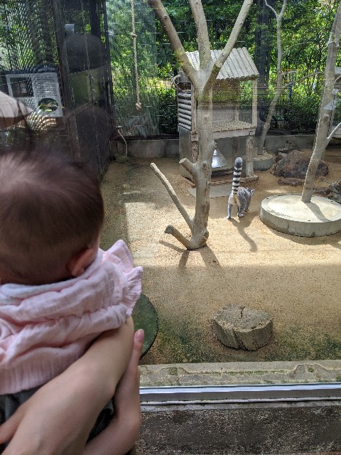 f:id:datsutokio:20200618234619j:image
