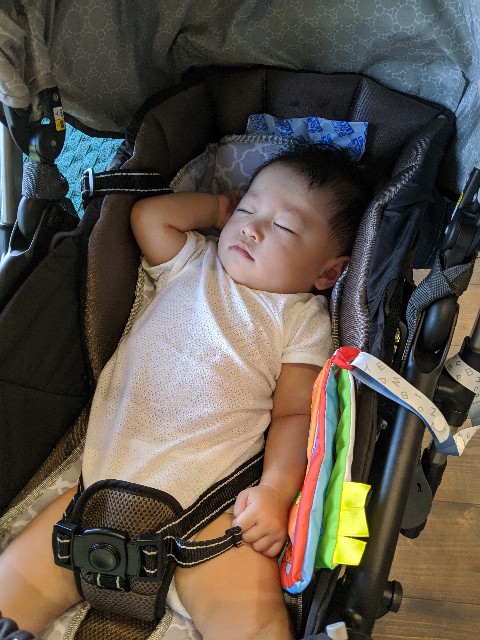 f:id:datsutokio:20200724224659j:image f:id:datsutokio:20200724224659j:image