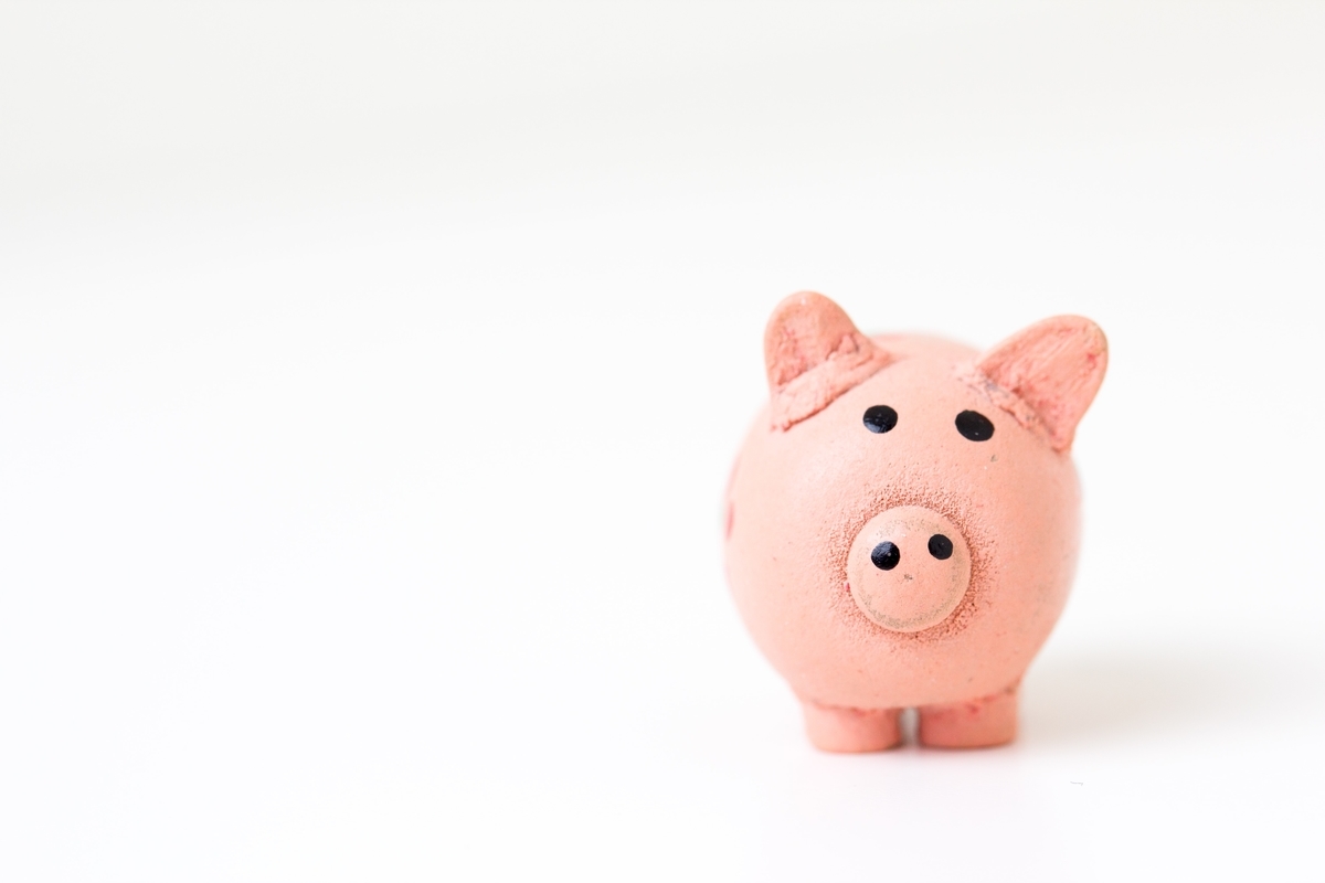 お金で失敗しないことを示唆出しする豚の貯金箱