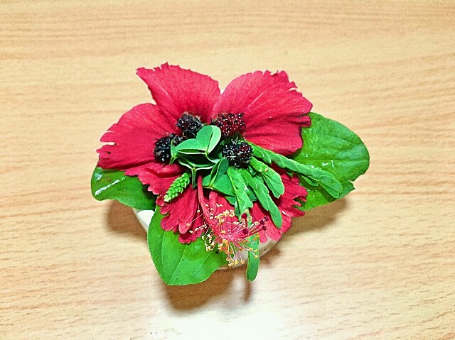 f:id:datukun:20161112220141j:image
