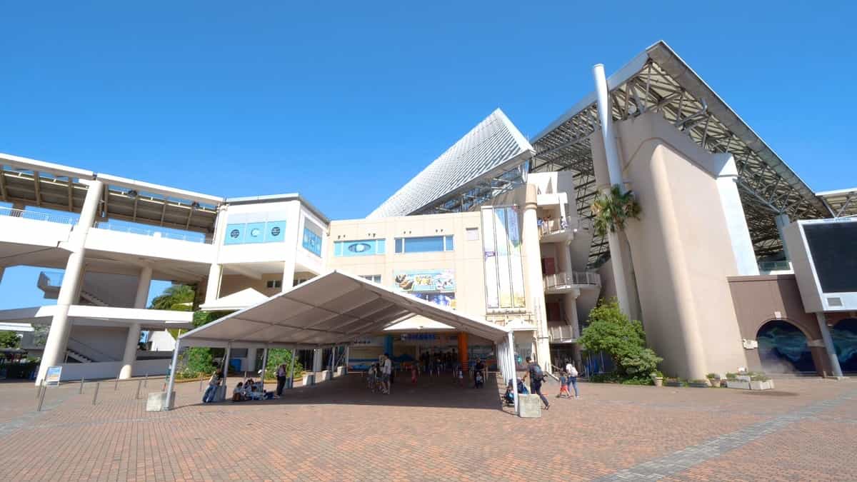 f:id:daturyokusalaryman:20190602012446j:plain