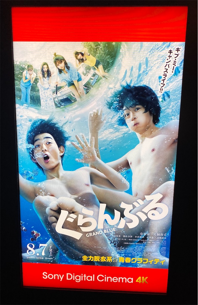 f:id:datushachi:20200808193832j:image