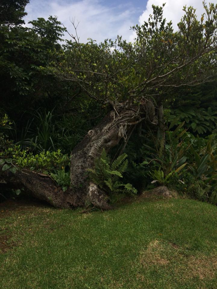 f:id:davadava:20180809034301j:plain