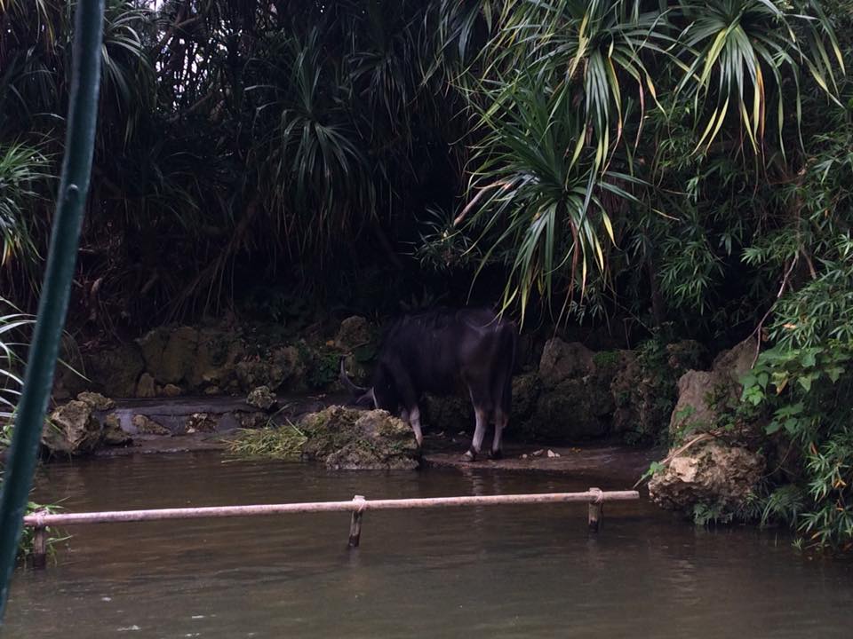 f:id:davadava:20180809034656j:plain