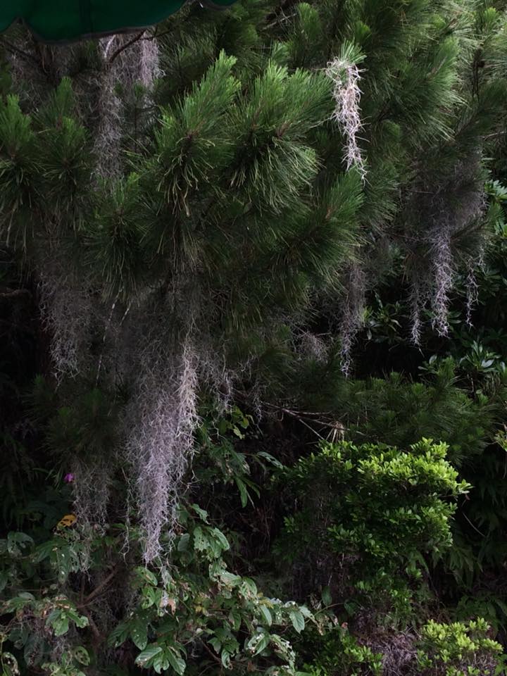 f:id:davadava:20180809035030j:plain