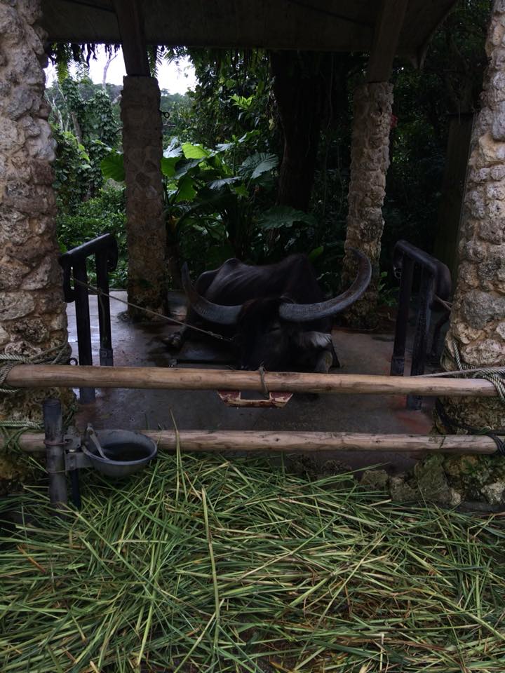 f:id:davadava:20180809035542j:plain