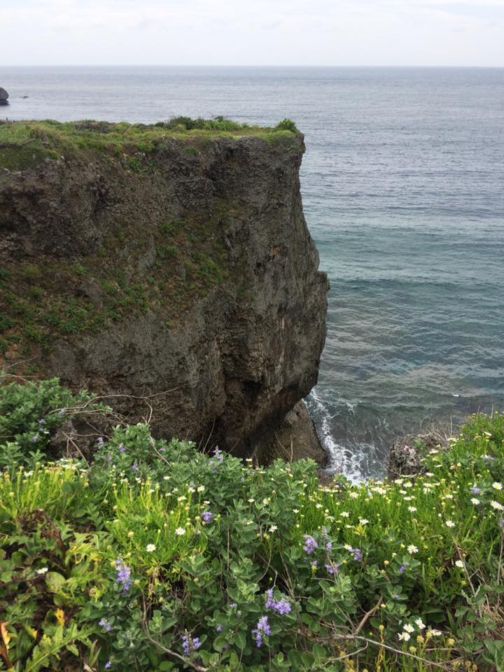 f:id:davadava:20180809035935j:plain