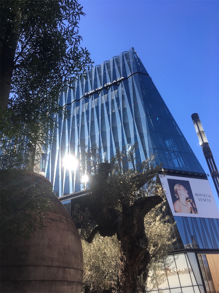 f:id:davadava:20191201210550j:image
