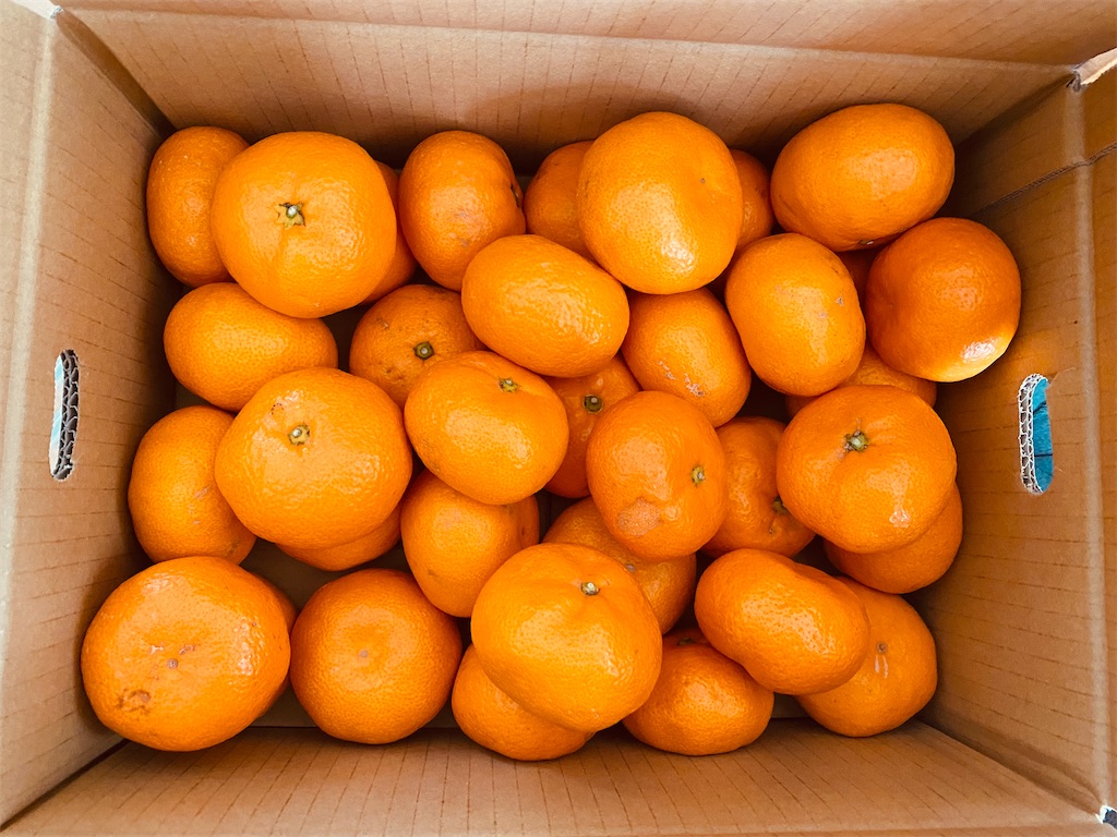 f:id:davadava:20240110122632j:image