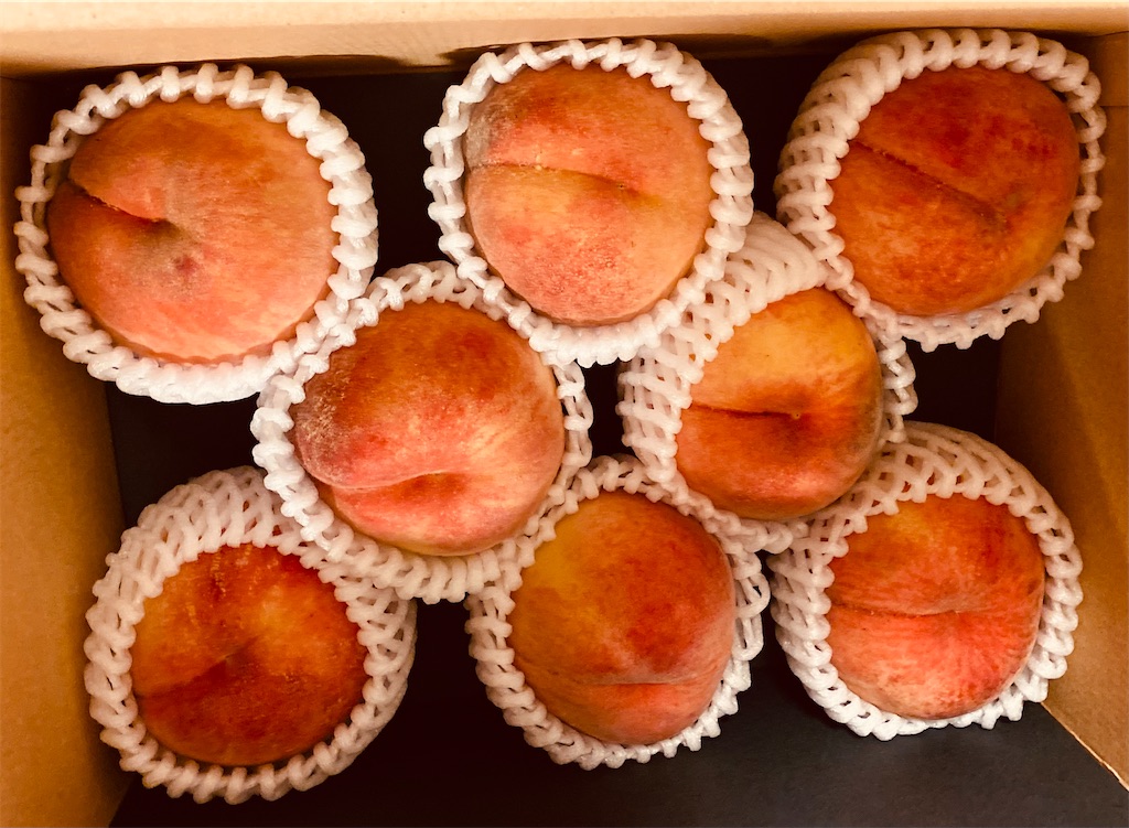 f:id:davadava:20250808191627j:image