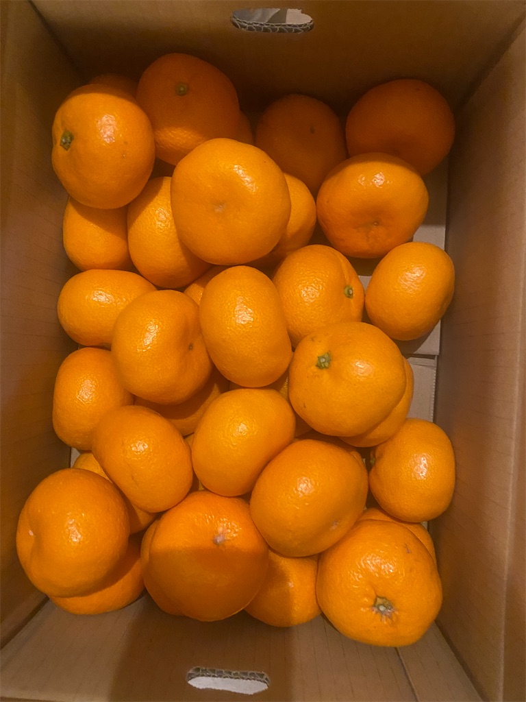 f:id:davadava:20260111011817j:image