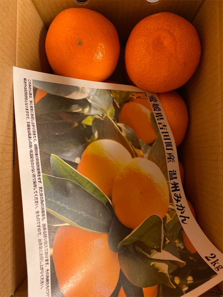 f:id:davadava:20260121233034j:image