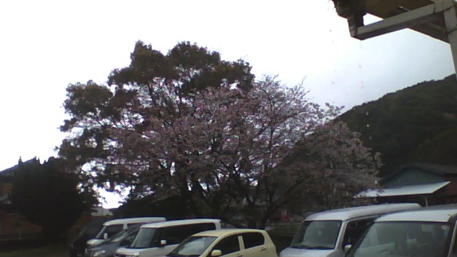 f:id:davidsunrise:20170407111924j:plain f:id:davidsunrise:20170407111924j:plain
