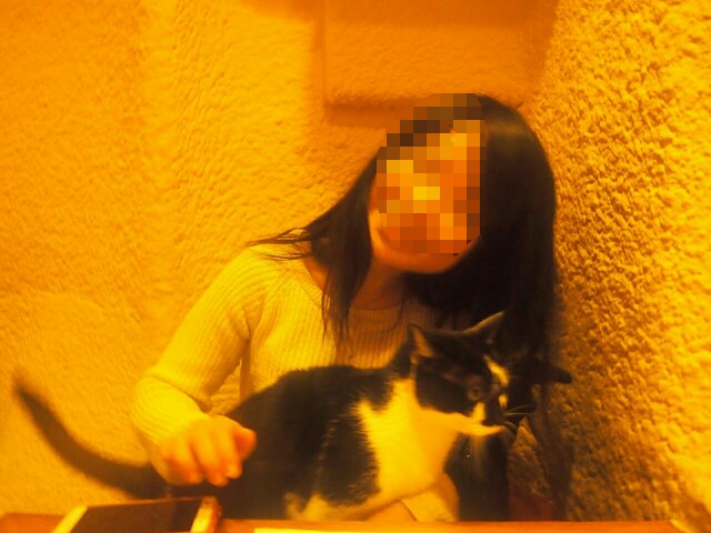f:id:dawaseur:20170211231653j:image f:id:dawaseur:20170211231653j:image