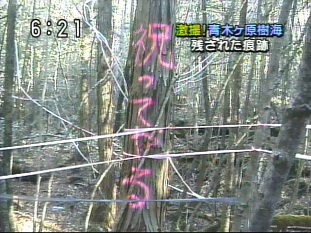 本 面白半分に心霊スポットをめぐるひとびとに怪異が忍び寄る 祝山 Just Melancholy