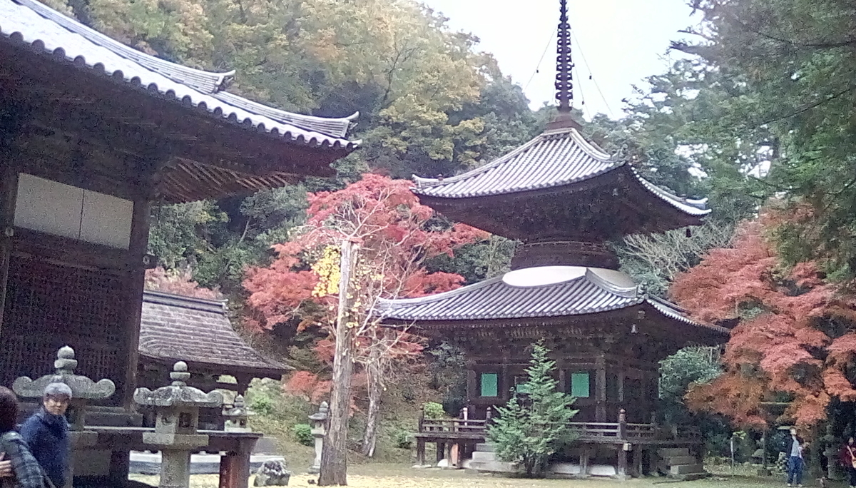 f:id:daycom569:20191124155045j:plain