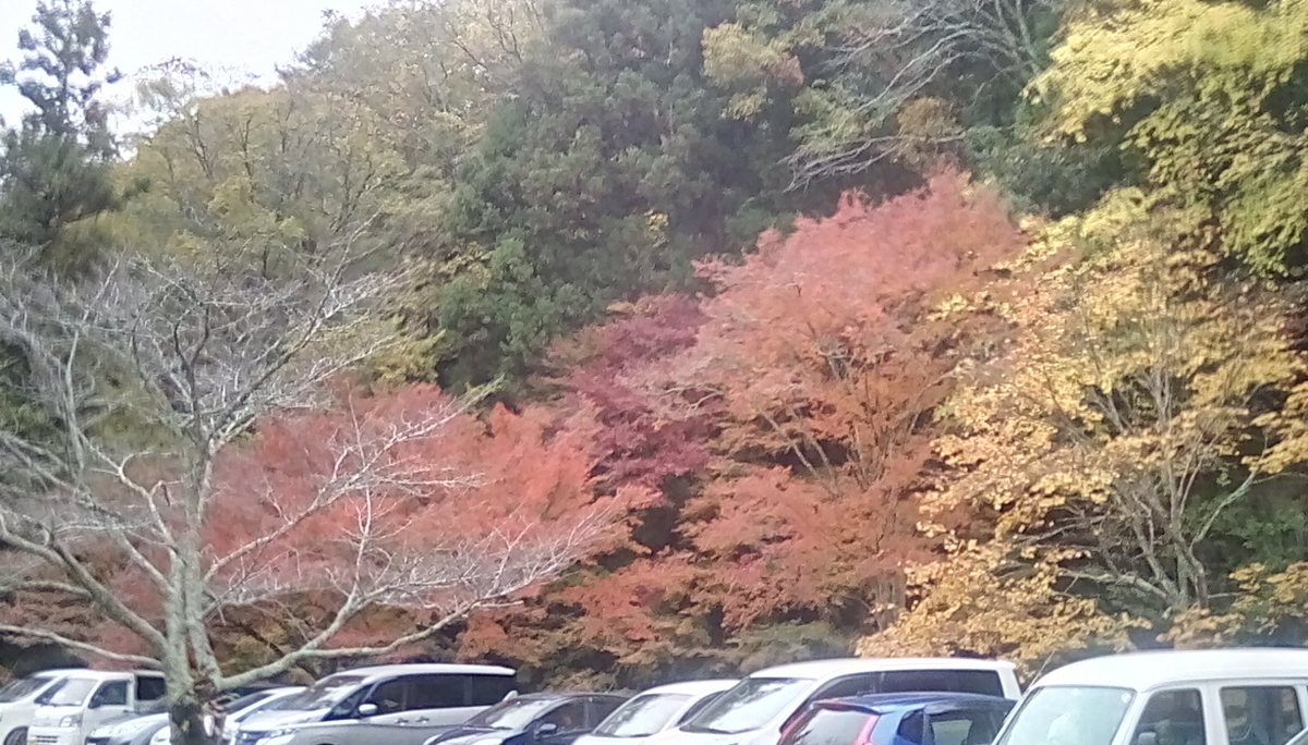 f:id:daycom569:20191124160518j:plain