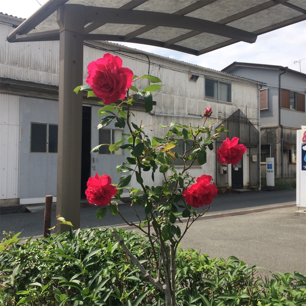 f:id:daycom569:20200524183412j:image