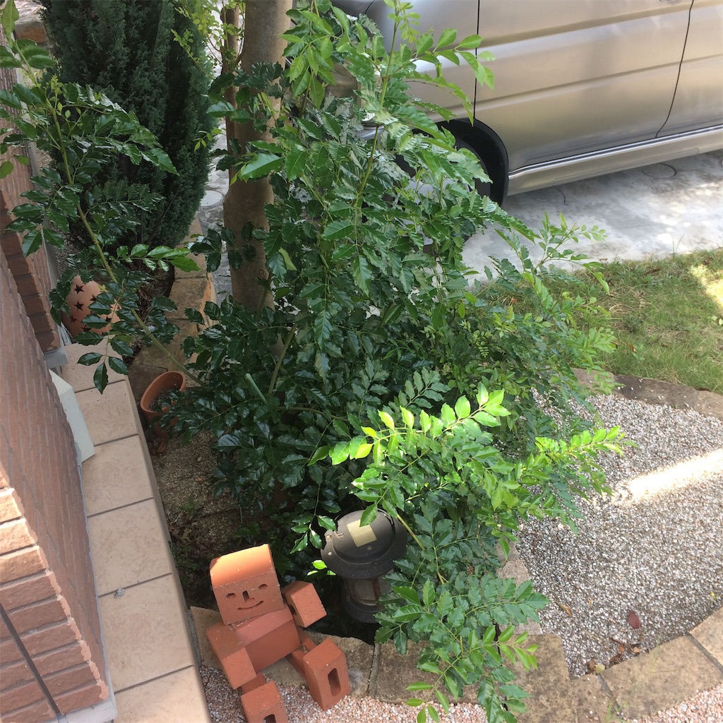 f:id:daycom569:20200920143352j:image