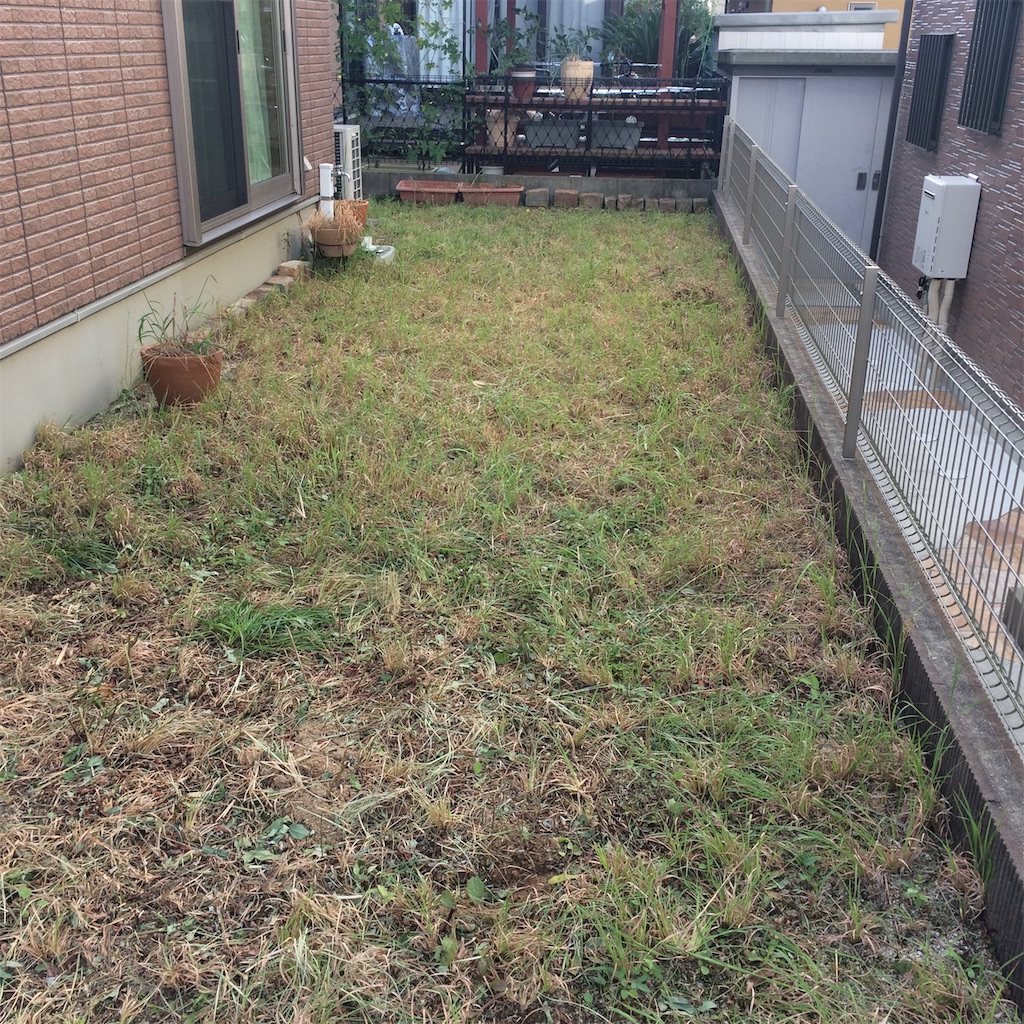 f:id:daycom569:20200920144405j:image
