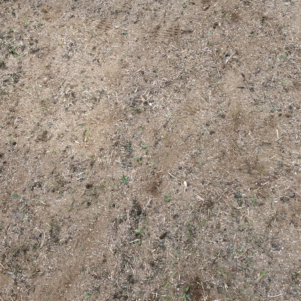 f:id:daycom569:20200920145530j:image