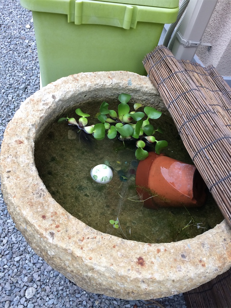 f:id:daycom569:20201004172616j:image