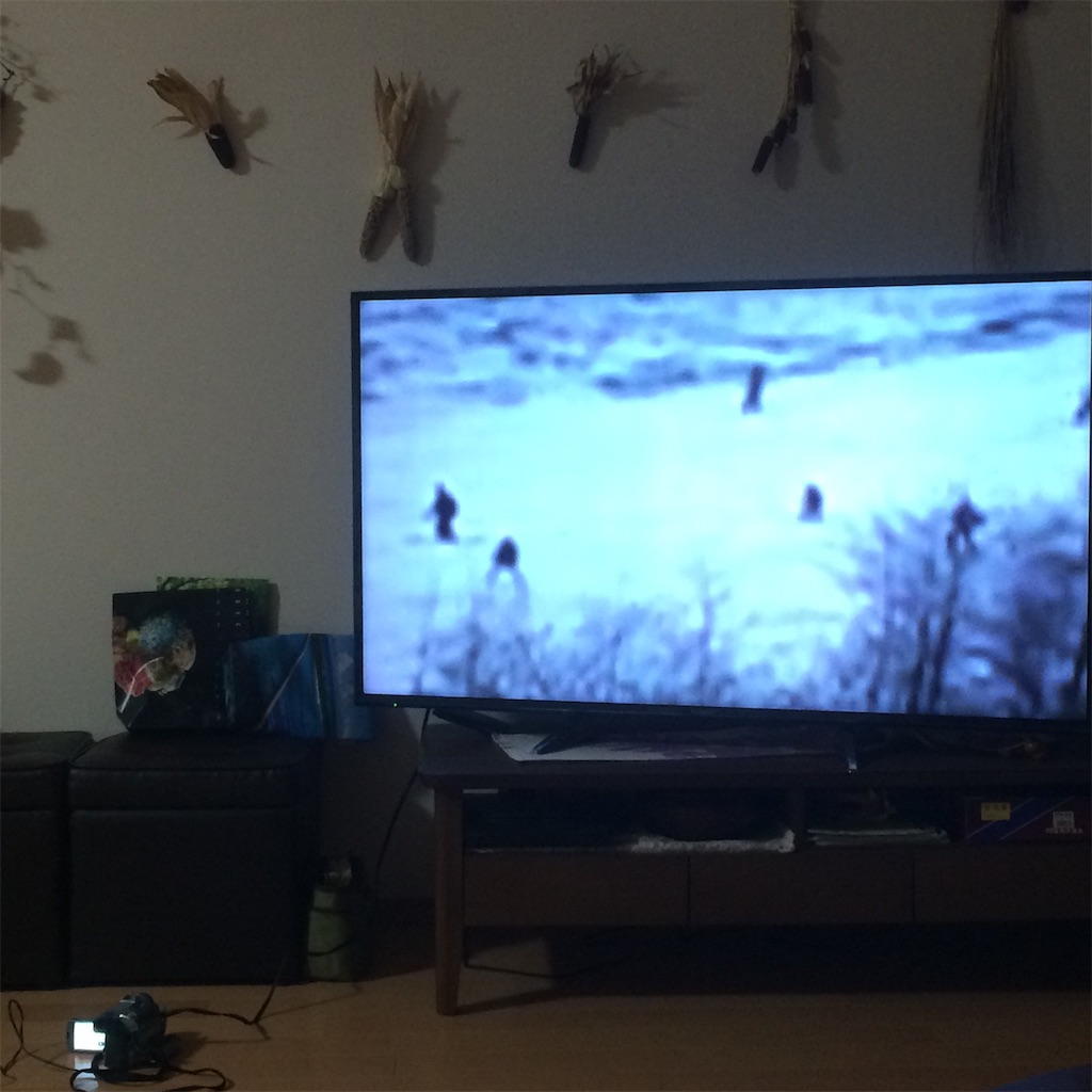 f:id:daycom569:20201018190832j:image