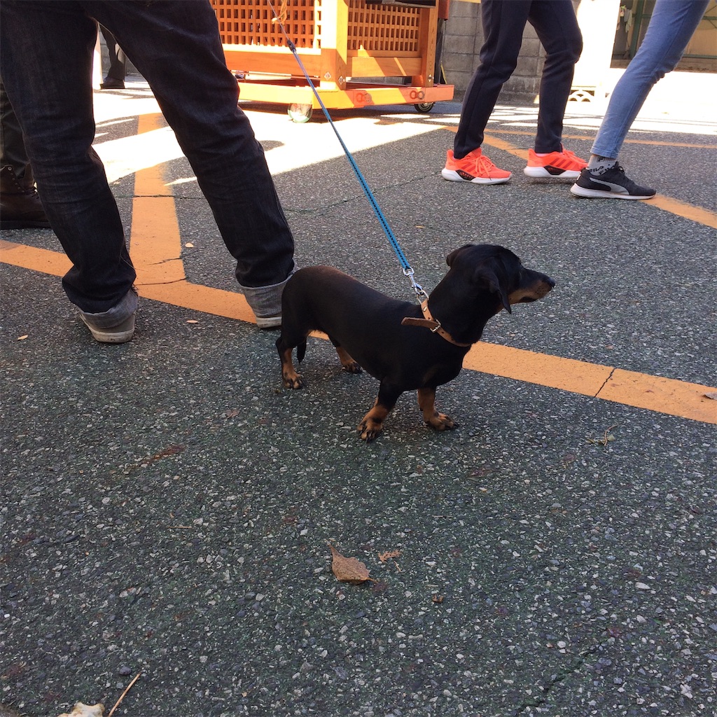 f:id:daycom569:20201025170708j:image