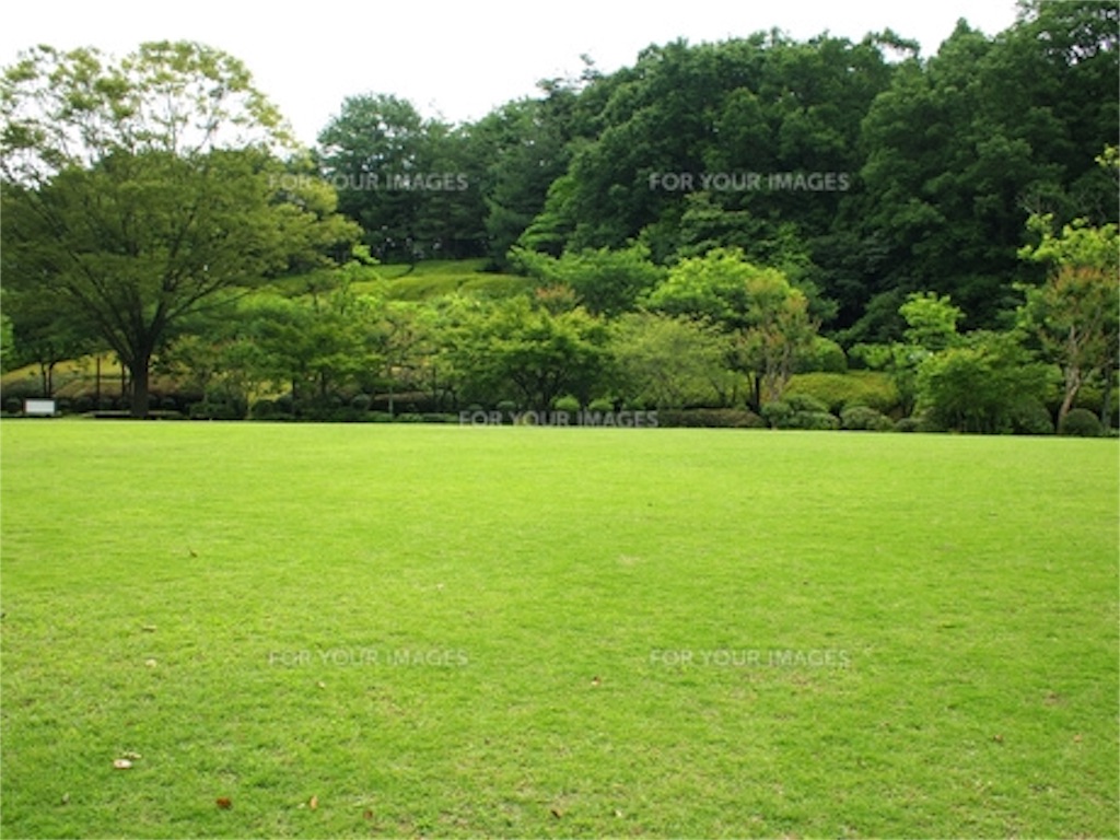 f:id:daycom569:20201026220422j:image