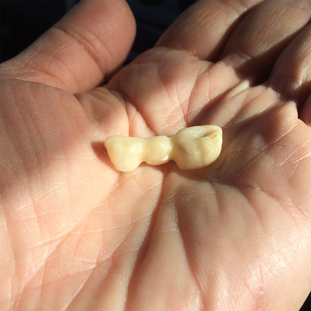 f:id:daycom569:20201114105213j:image