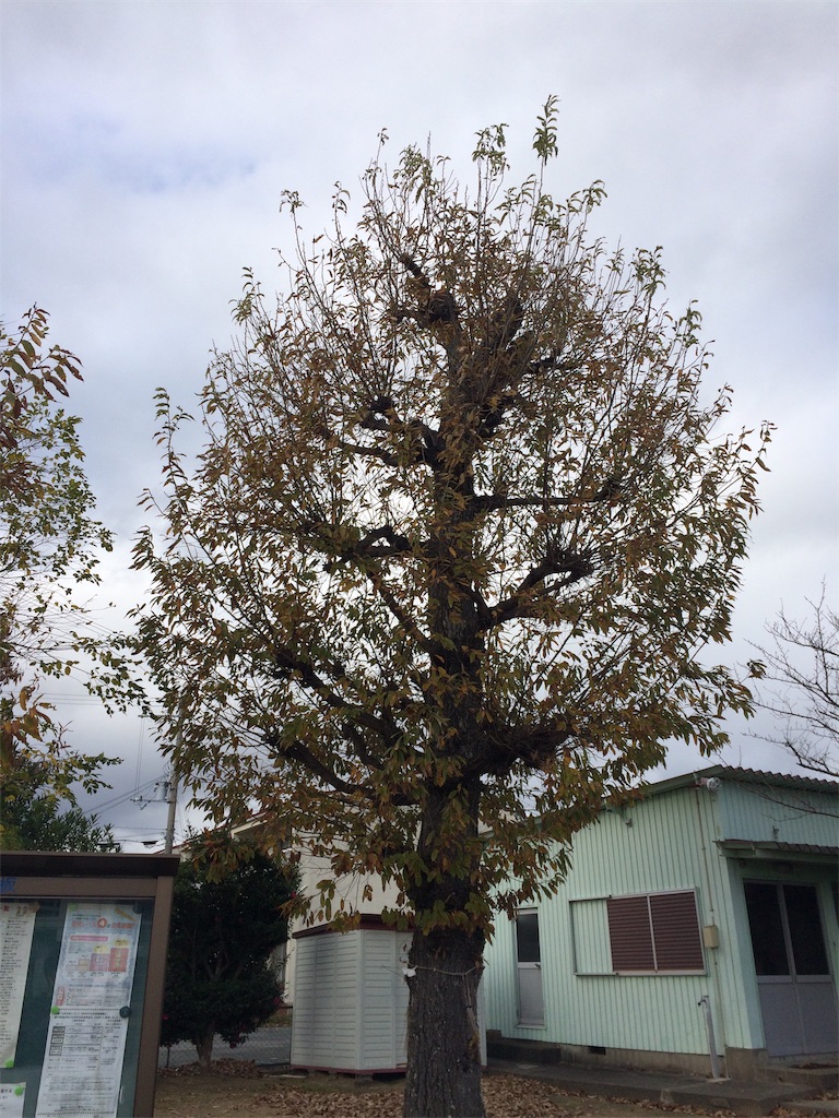 f:id:daycom569:20201128142434j:image