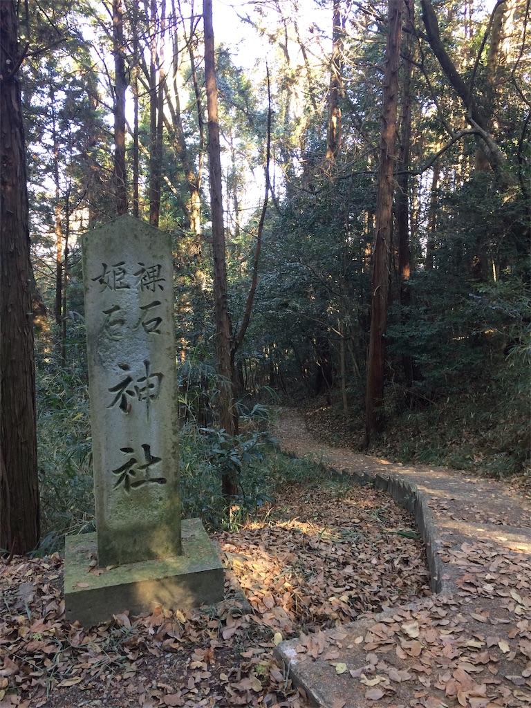 f:id:daycom569:20201206182258j:image