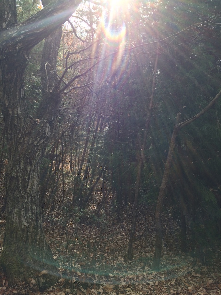f:id:daycom569:20201212152402j:image
